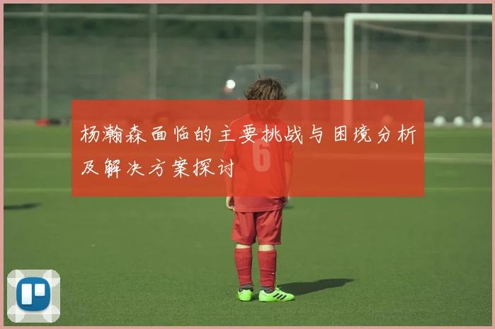 杨瀚森面临的主要挑战与困境分析及解决方案探讨