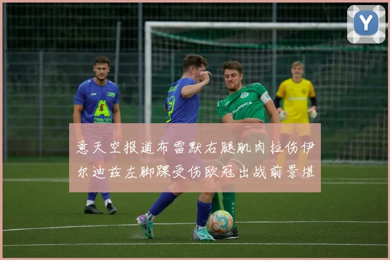 意天空报道布雷默右腿肌肉拉伤伊尔迪兹左脚踝受伤欧冠出战前景堪忧
